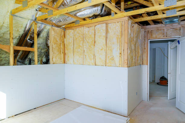 Best Commercial Insulation in Van Meter, IA